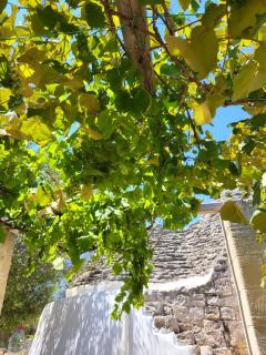 Trullo incantevole - 9