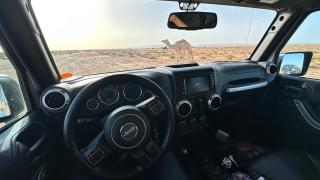 Atta Desert Camp - 1