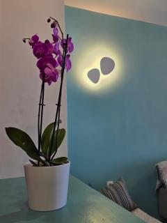 Luna del Mare - 1