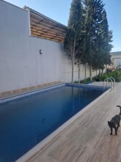 Shuvalan Summer Haven - 4