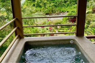 Sloth Premium Riverfront Jungle Villa with Jacuzzi and Pool - 3