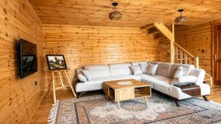 Grahovo Mountain Chalet - 2