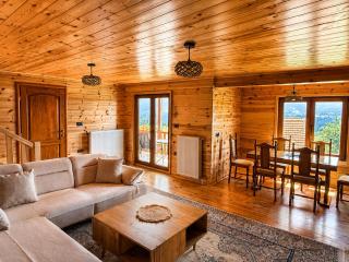 Grahovo Mountain Chalet - 8