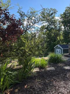Shenandoah Mountain House - 1