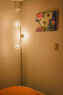 Blissparkle Kirishima 霧島-Luxury Retreat - 6