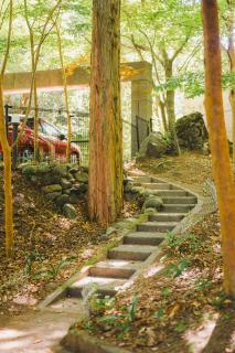 Blissparkle Kirishima 霧島-Luxury Retreat - 8