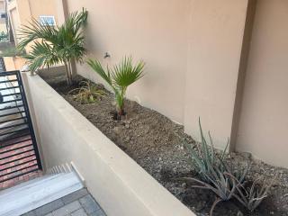 Ocean Breeze Apartment close to Mambo - 6