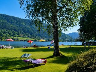 Panorama apartment on Lake Ossiach - 7