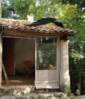 Gîte bastide - 6