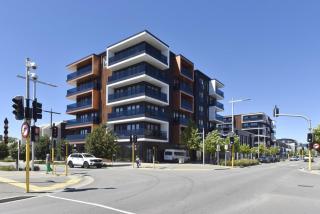 Newly Built 1BR Apartment near Te Kaha Stadium - 7