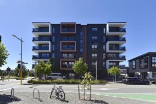 Newly Built 1BR Apartment near Te Kaha Stadium - 9
