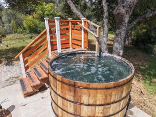 Private Cabin with Hot Tub & Sauna Near Yosemite - 8