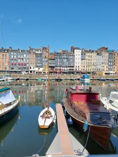 Les âmes bleues - Chambre double bord de Seine, proche Honfleur - 7