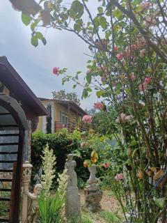 Mavros Garsoniera - 5