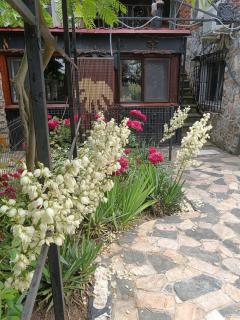 Mavros Garsoniera - 3