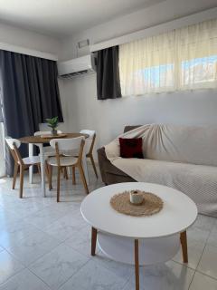Costelia Studio - 2