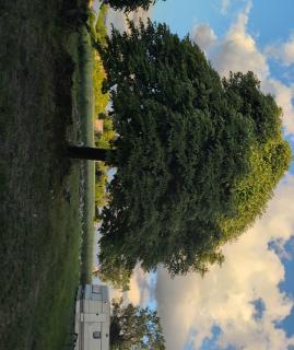 Au soleil - 0