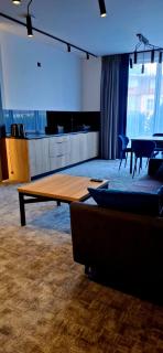 Rezydencja Karkonoska Apartament z prywatną sauną - 4