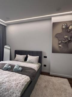Cozy and very beautiful apartment in the city cent - 3