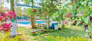 Greenline Farm Stays with swimming pool - 5