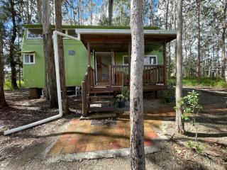 Tree Top Bus Stop - 9
