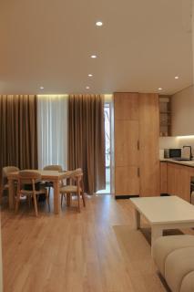 Golden Space Apartaments in Tirana 1 - 0