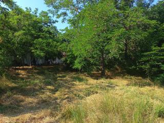 Travel Hub Hostel and Tent's - 2