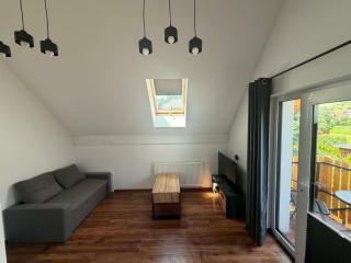 Willa Gazda Apartamenty - 4