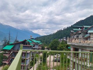 Aavi Grand Manali - 8