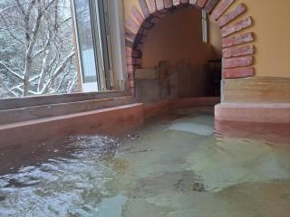 ローズウッドガーデンアンドヴィラ-Private Onsen Villa in Nasu- - 3