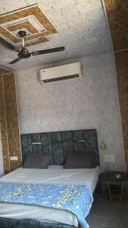 Hotel Dhamija Divine inn Sirsa - 5