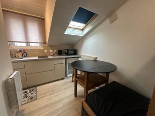 Cozy studio Evian centre - 0