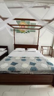 Ahasna eco nest - 9