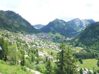 Apartment in Petit Châtel near Cable Car - 5