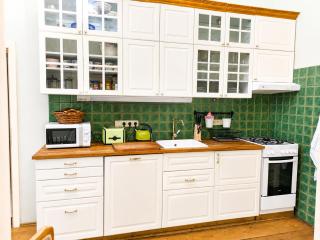 Historical stylish apartment - Prague - 1