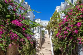 Bodrum Fora Holiday Resort - 1