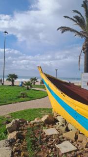 Dolphin Outlook in Jeffreys Bay - 5