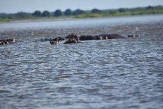 Budget twin room Lower Zambezi - 7