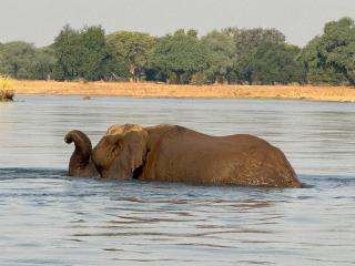 Budget twin room Lower Zambezi - 3