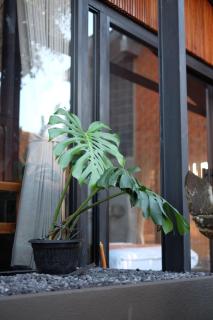 Mono by Masih House - 8
