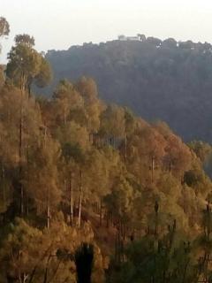 Cloudview Pines Cabin Resort Style Pvt Stay - 1
