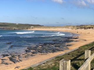 Spacious Dog Friendly Family Home close to Padstow - 3
