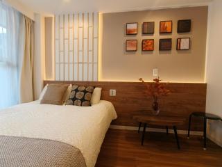 D13新宿中心 超级商圈 交通枢纽 4条线路 车站8分钟 Shinjuku center 8 mins to ST 直达新宿 涉谷 表参道 品川 池袋 上野 代代木 银座 原宿 - 6