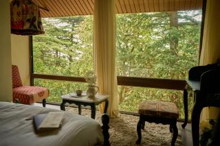 MONKEY RESORT - 3