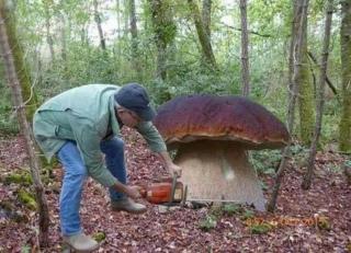 u MAŁGORZATY dla 6 osób 2 POKOJE 54 M - 2