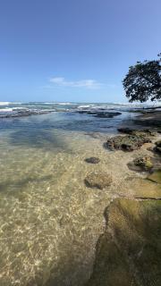 Congoli House Where the Ocean Meets the Rainforest - 8