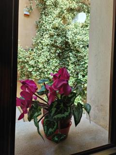 B&B gigi - 7