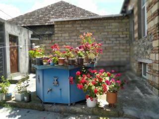 Old House - 6