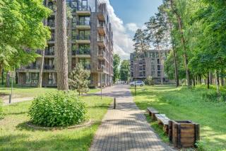 New! Pine Forest Apartments - 7