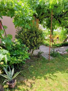 Apartman Tina - 2
